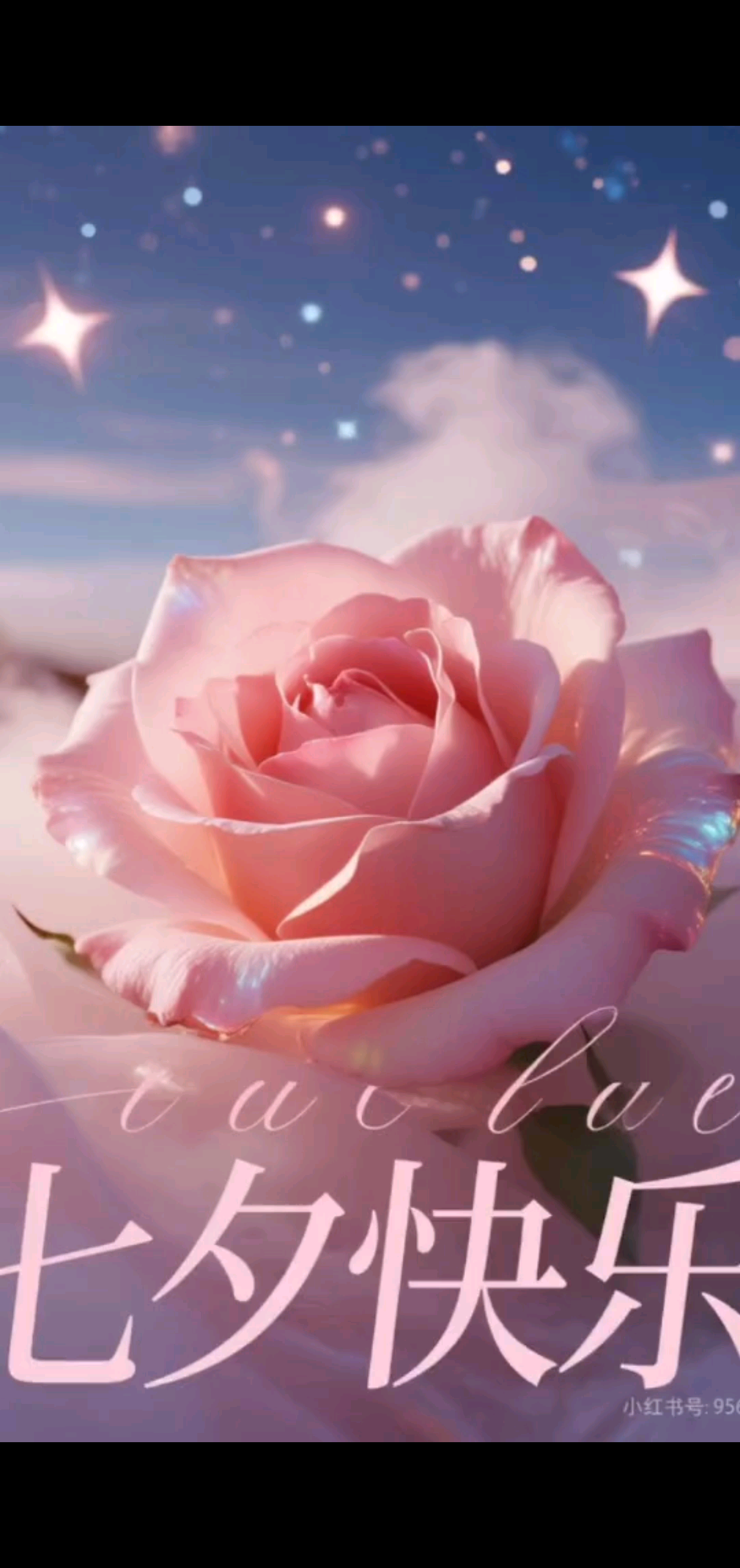 💞2025 年 8