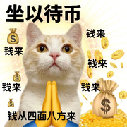 小南妹的头像