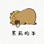 瑶瑶❤️❤️