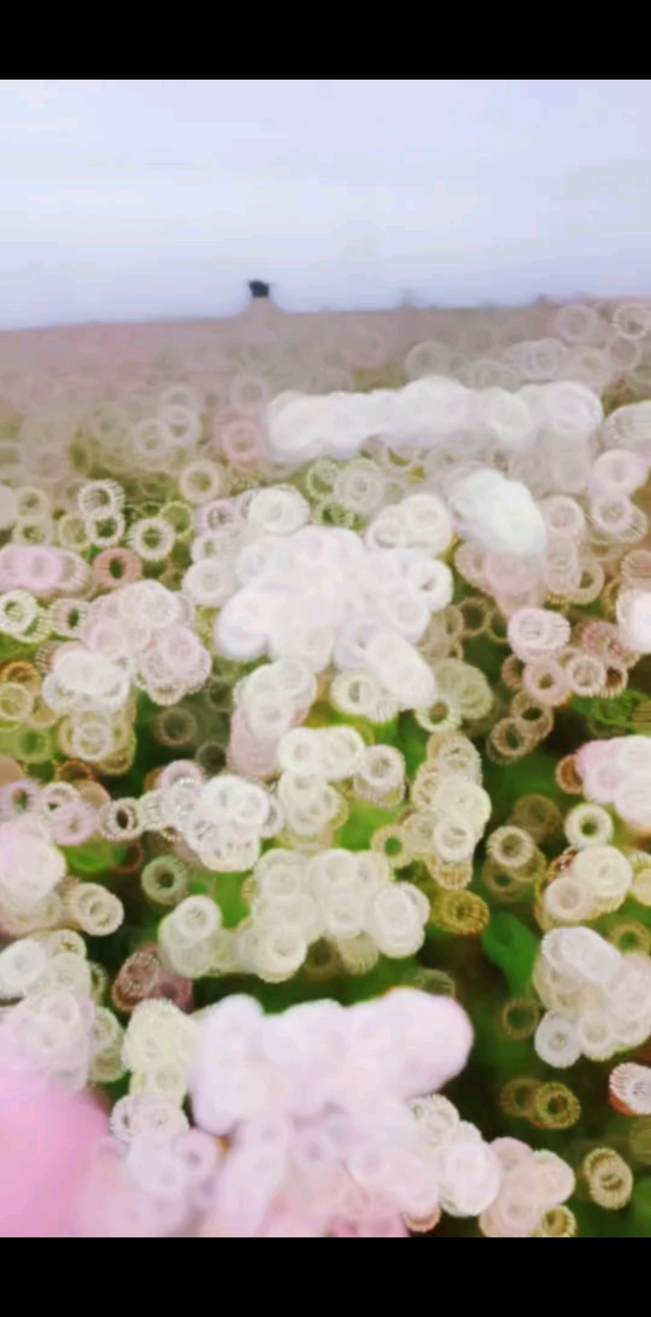 人生最高級的炫富:身