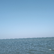 千江水4