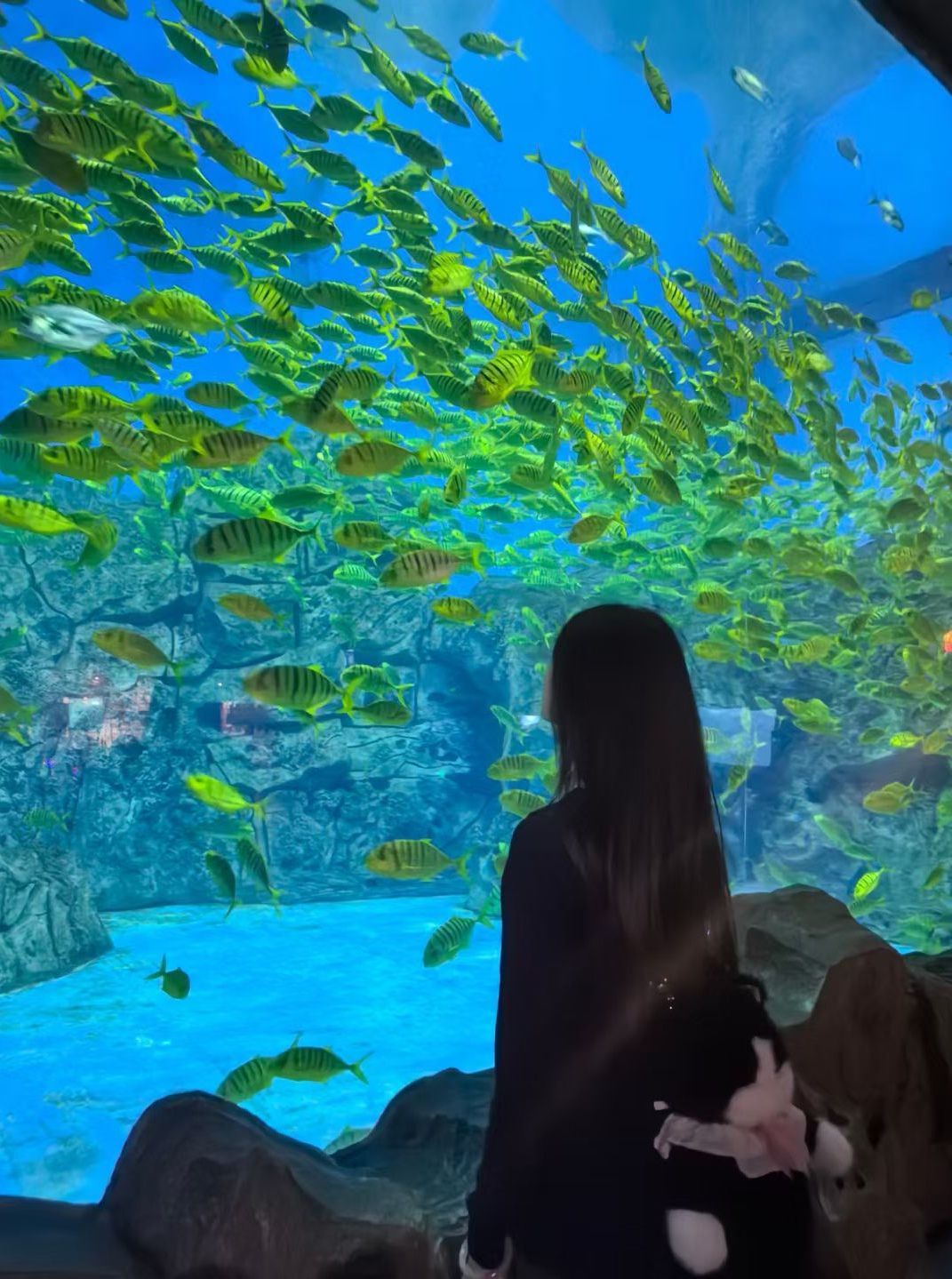 梦小小~的主播照片