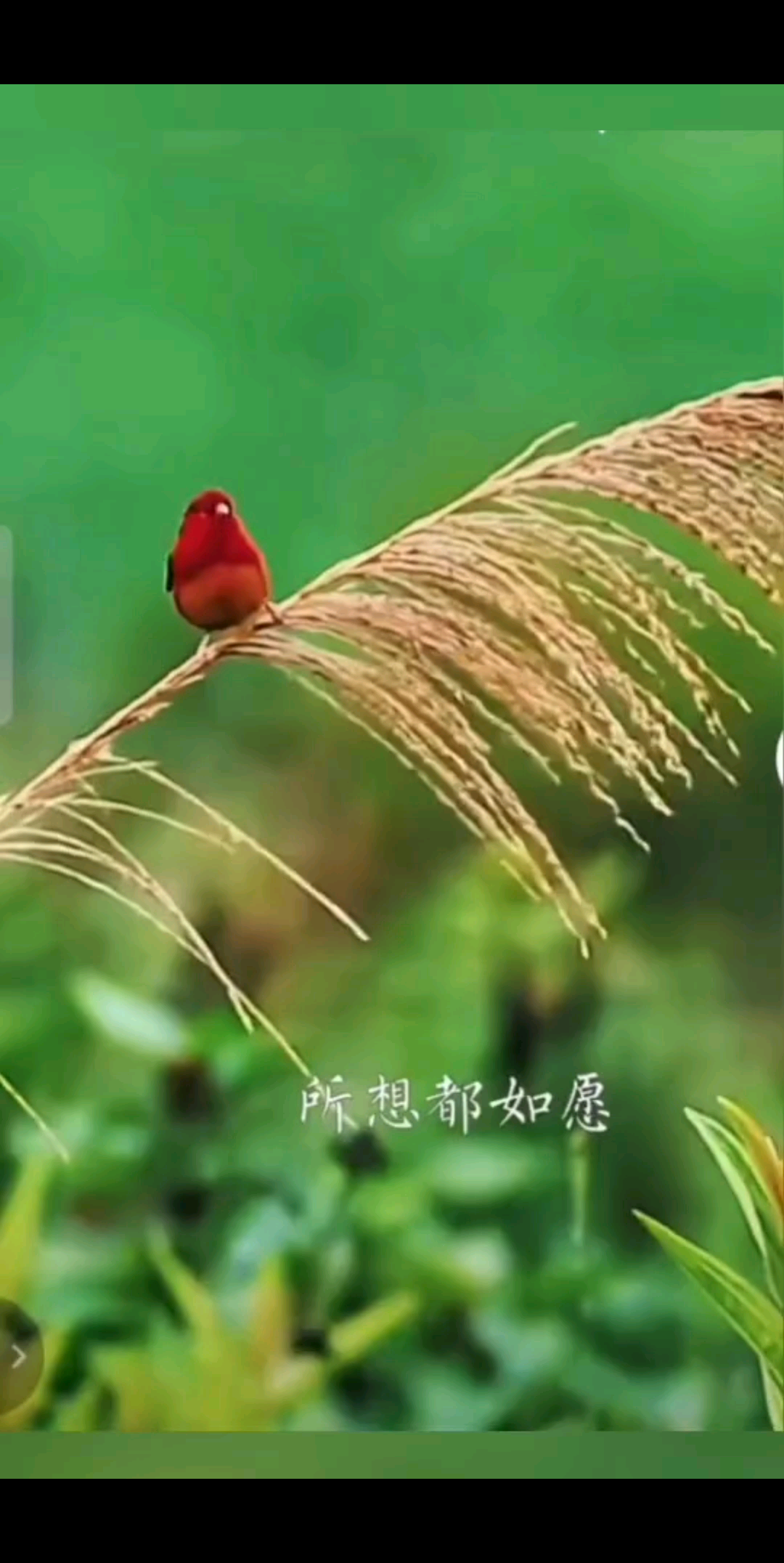 ☞8月再见，9月你好