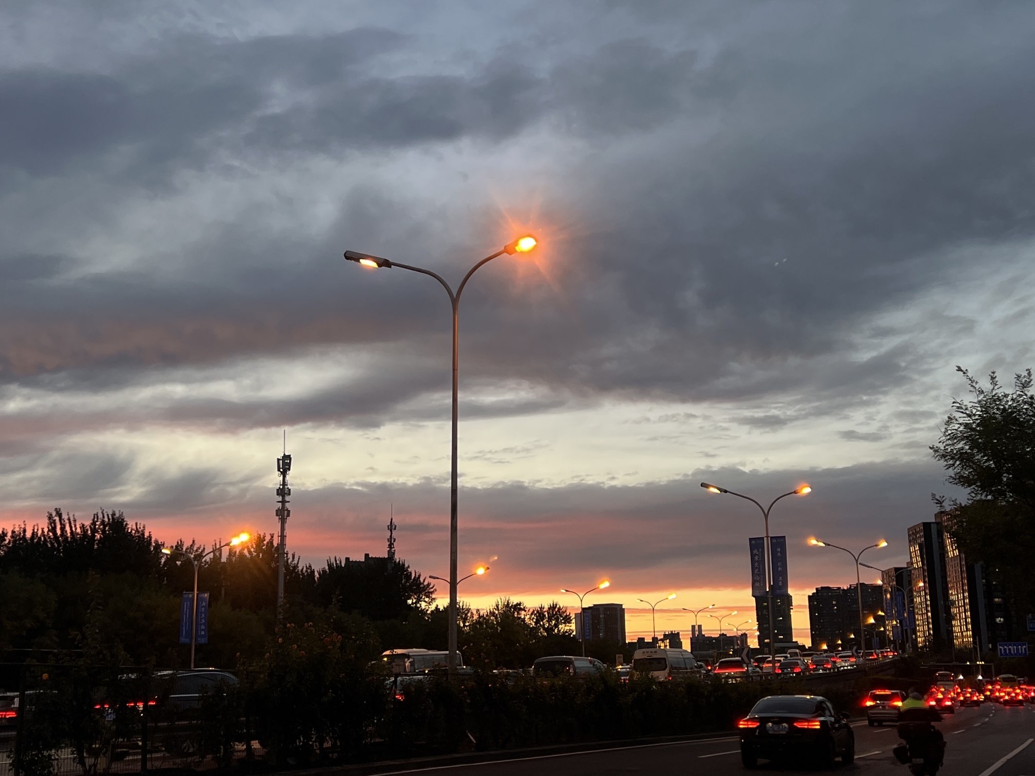 旺仔带你户外游主播图片