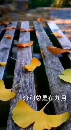 cc爱唱歌🎤🎤的图片