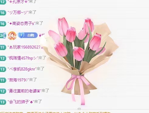 白Y鸭求投喂主播图片