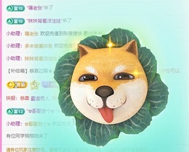 金牌代理❤玲儿❤的图片