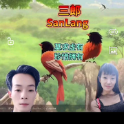 三郎情缘的头像