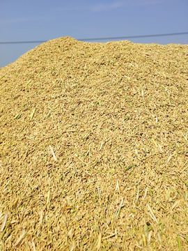 策马奔腾o6主播照片