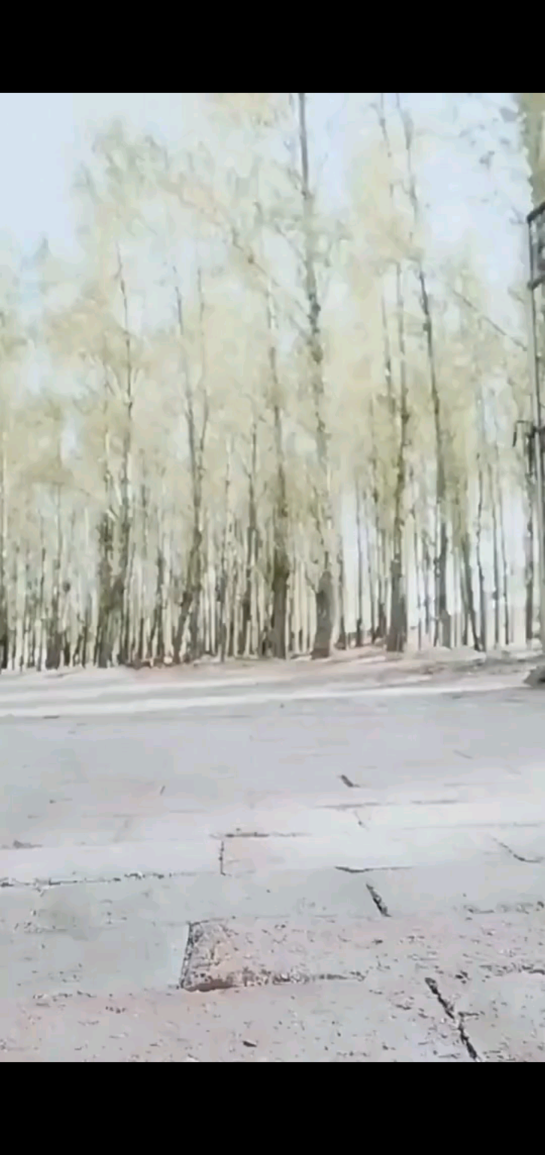 今生遇见，终身难忘。
