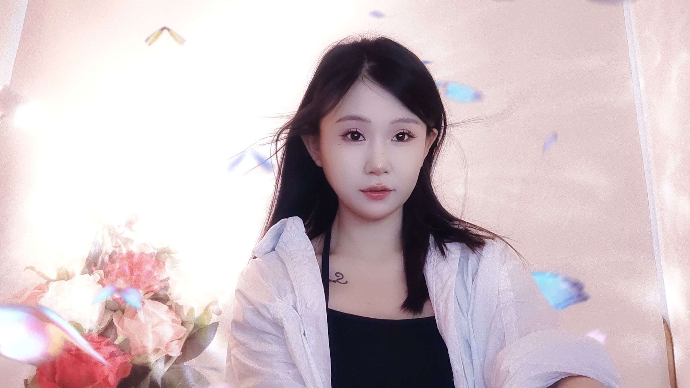一只小猪妹的图片