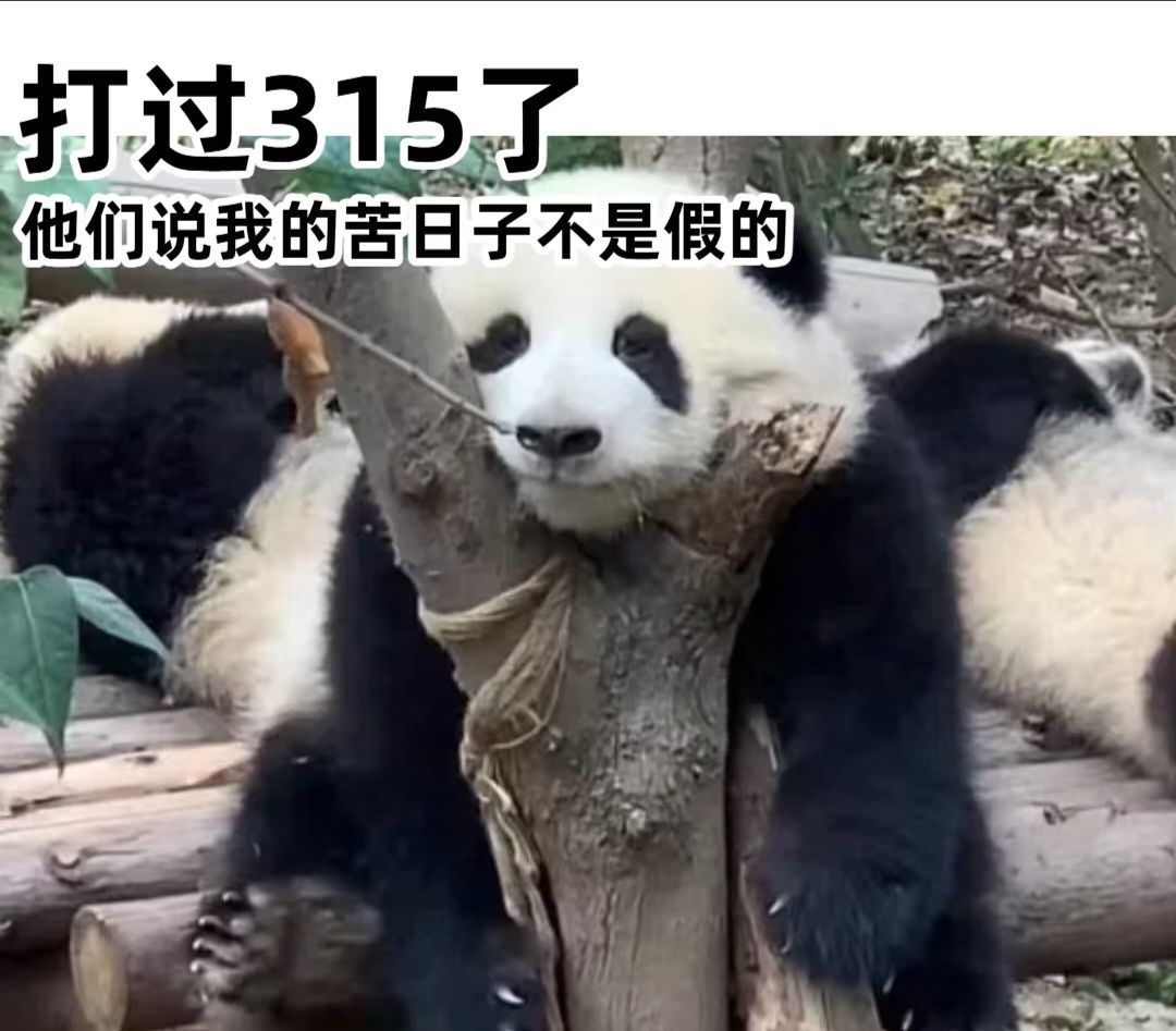 钱悦萌主🐉主播图片