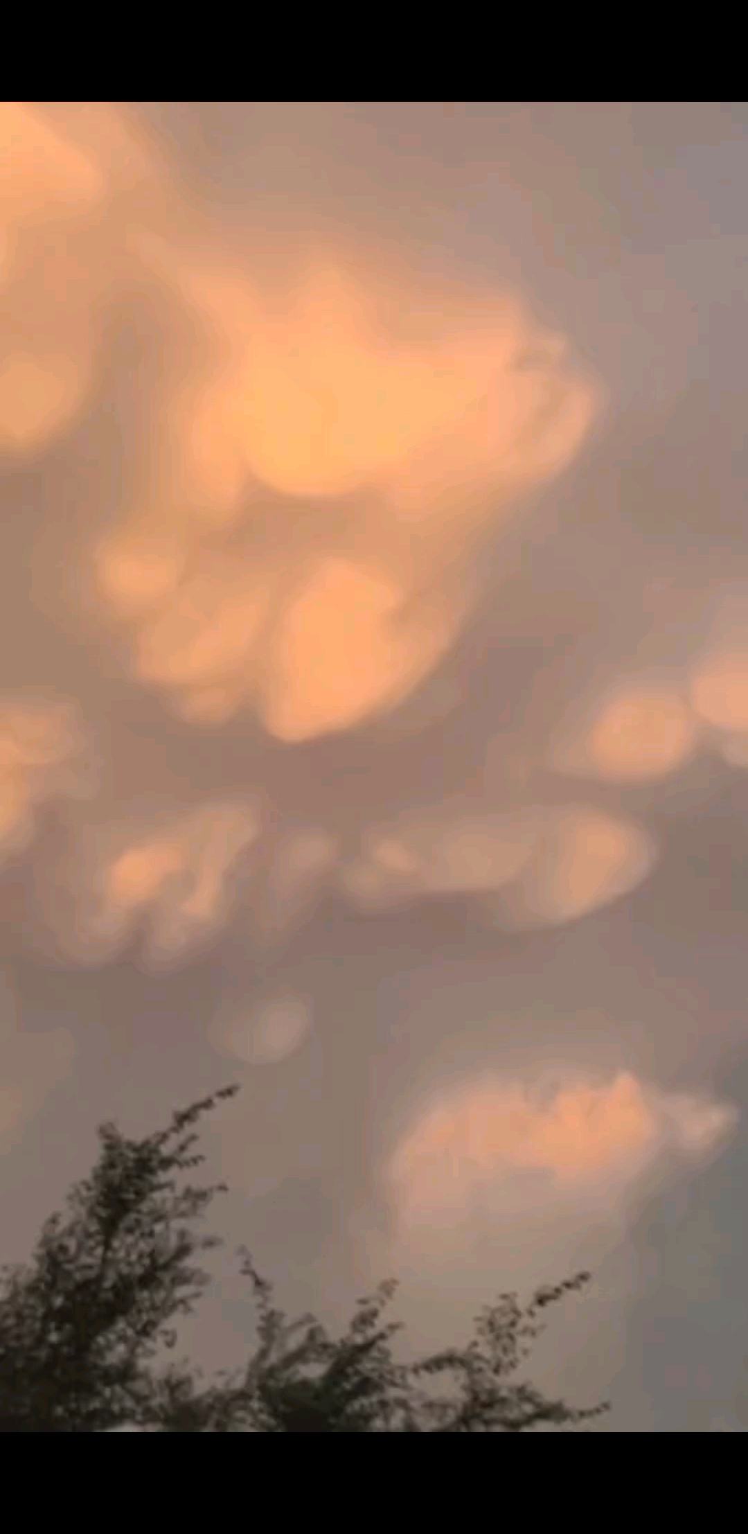 头一次看见这样的云彩