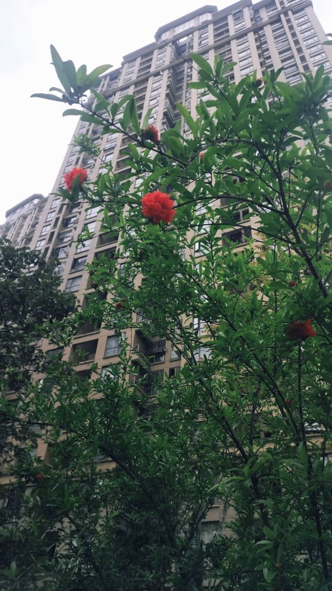 ♬默默✨小蛮宝☞🌜主播图片