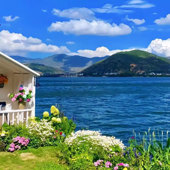 稚气千足虫☼海报