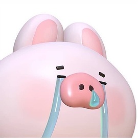 洁儿宝宝~点舞吖🐷主播照片