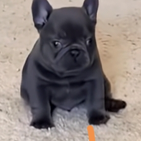 🎬？海报