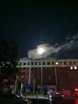 天王盖地虎虎044的图片