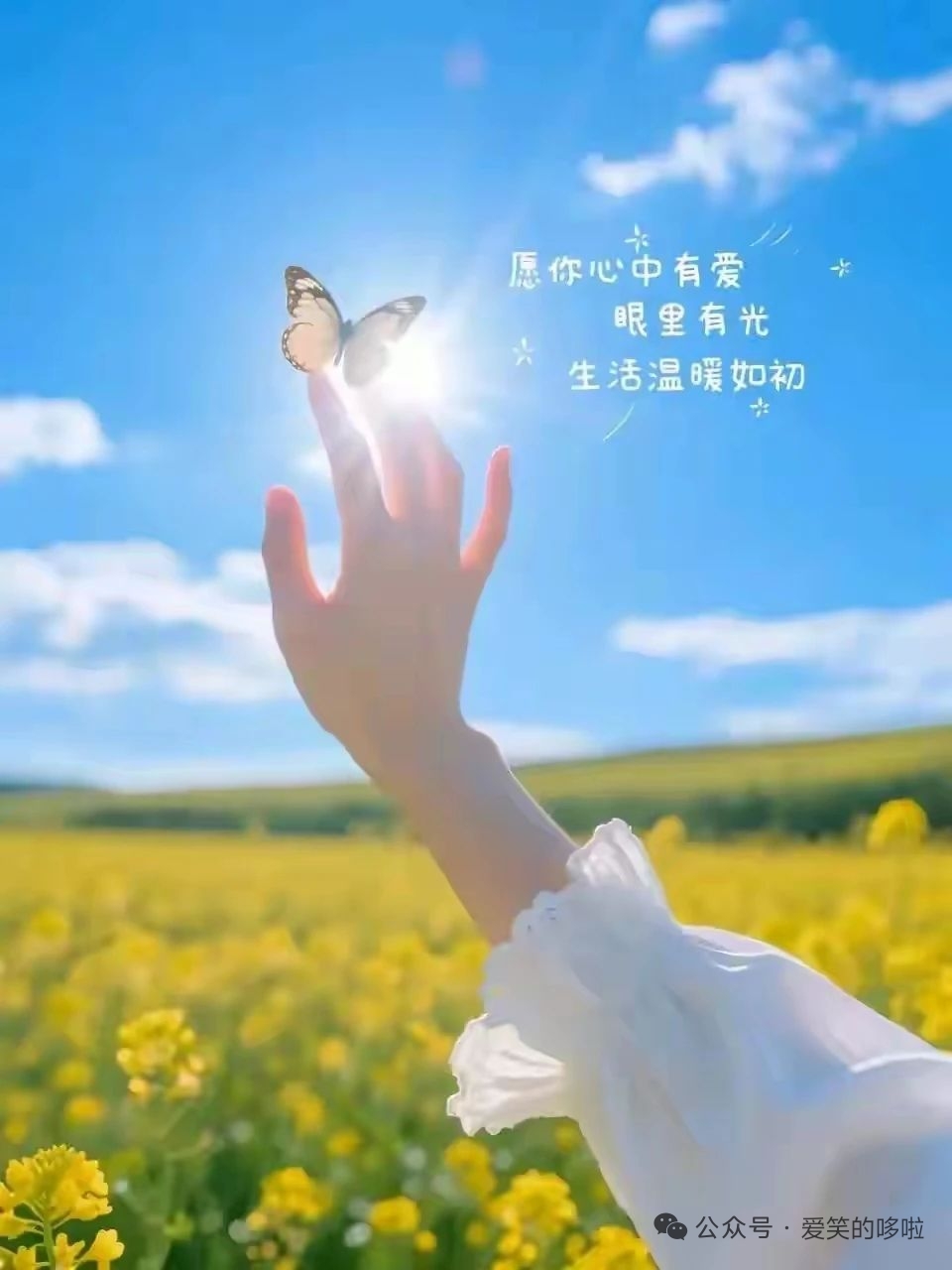 ?錦鯉來米?多財(cái)多億的主播照片