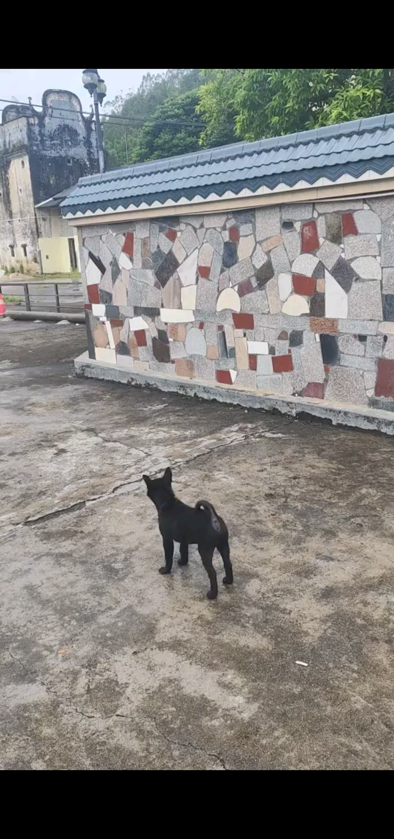 农历节日快乐