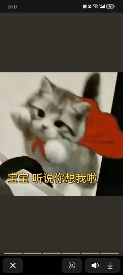 ^艾琳.的图片