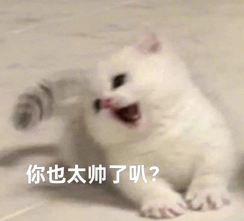 寶貝貝賀66寶升伯爵主播圖片