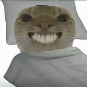 炒豆子