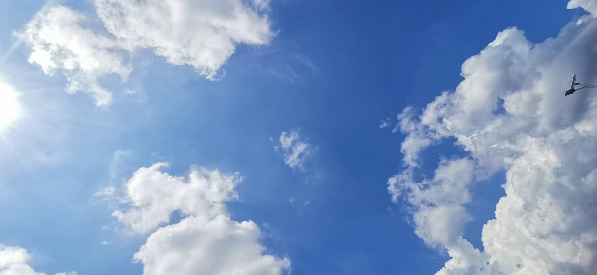 小白队长💧心里美☜主播图片