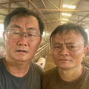 巴拿拿