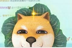 新人米儿妹妹💃的图片