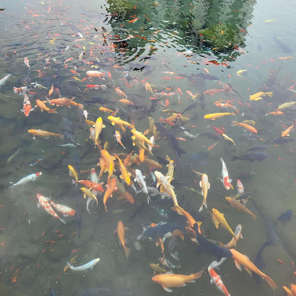 再不说话海报