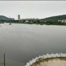 强子（山东均扬）