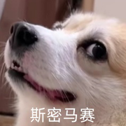 狗子你變了?的頭像