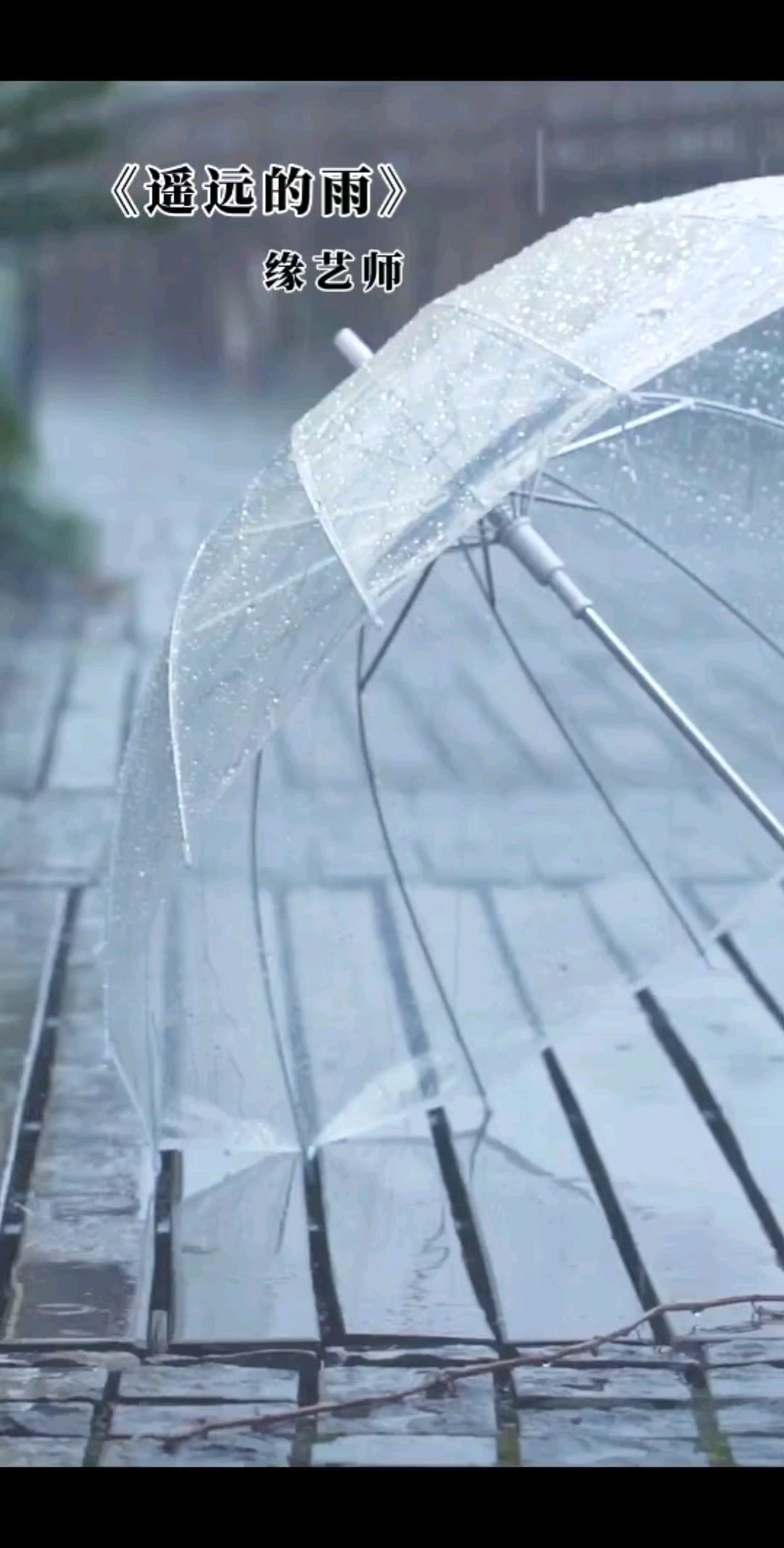 你那里下雨了吗？