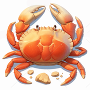 阳泽湖大闸蟹海报