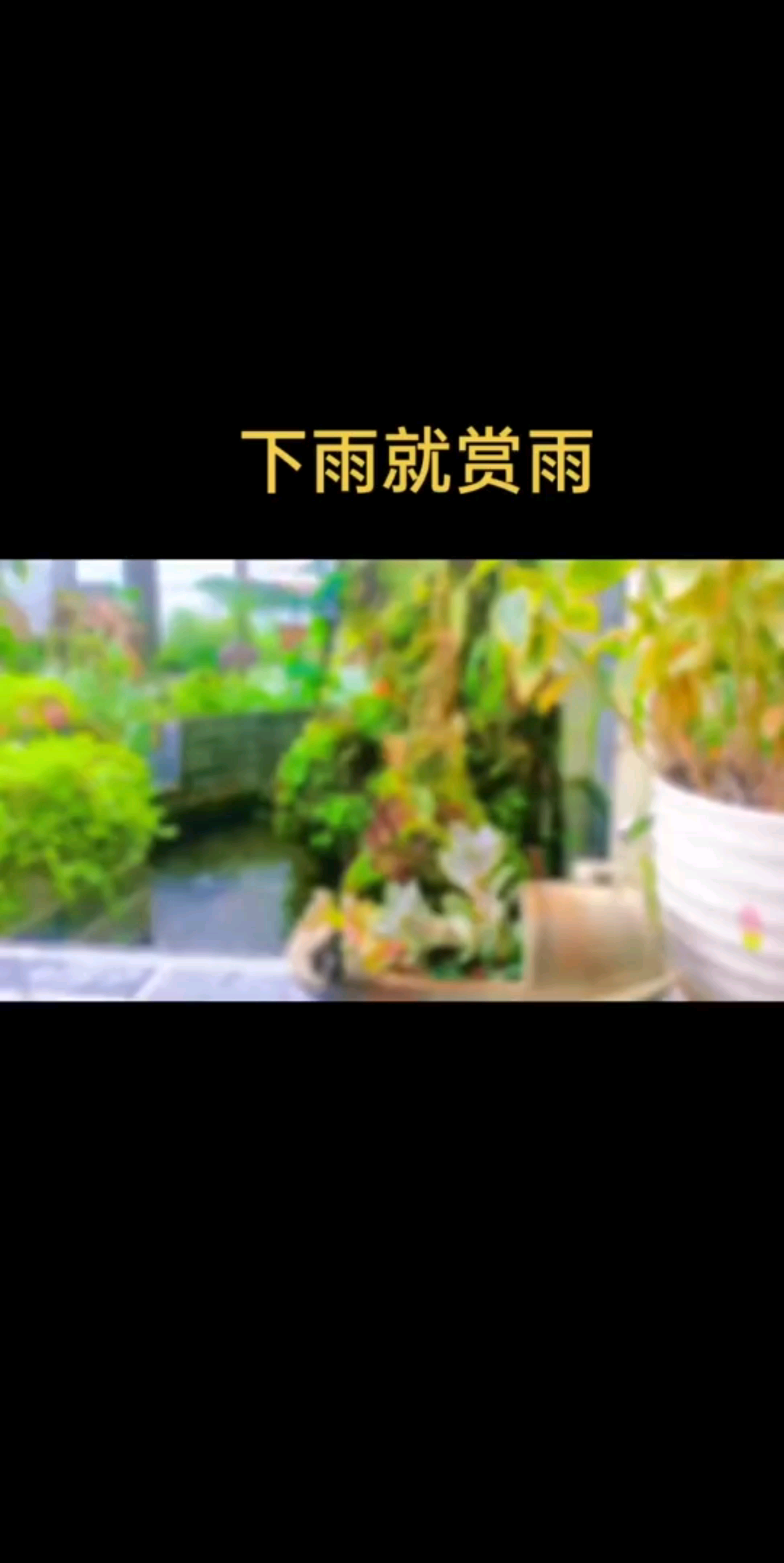 雨天⛱️，那就安安静
