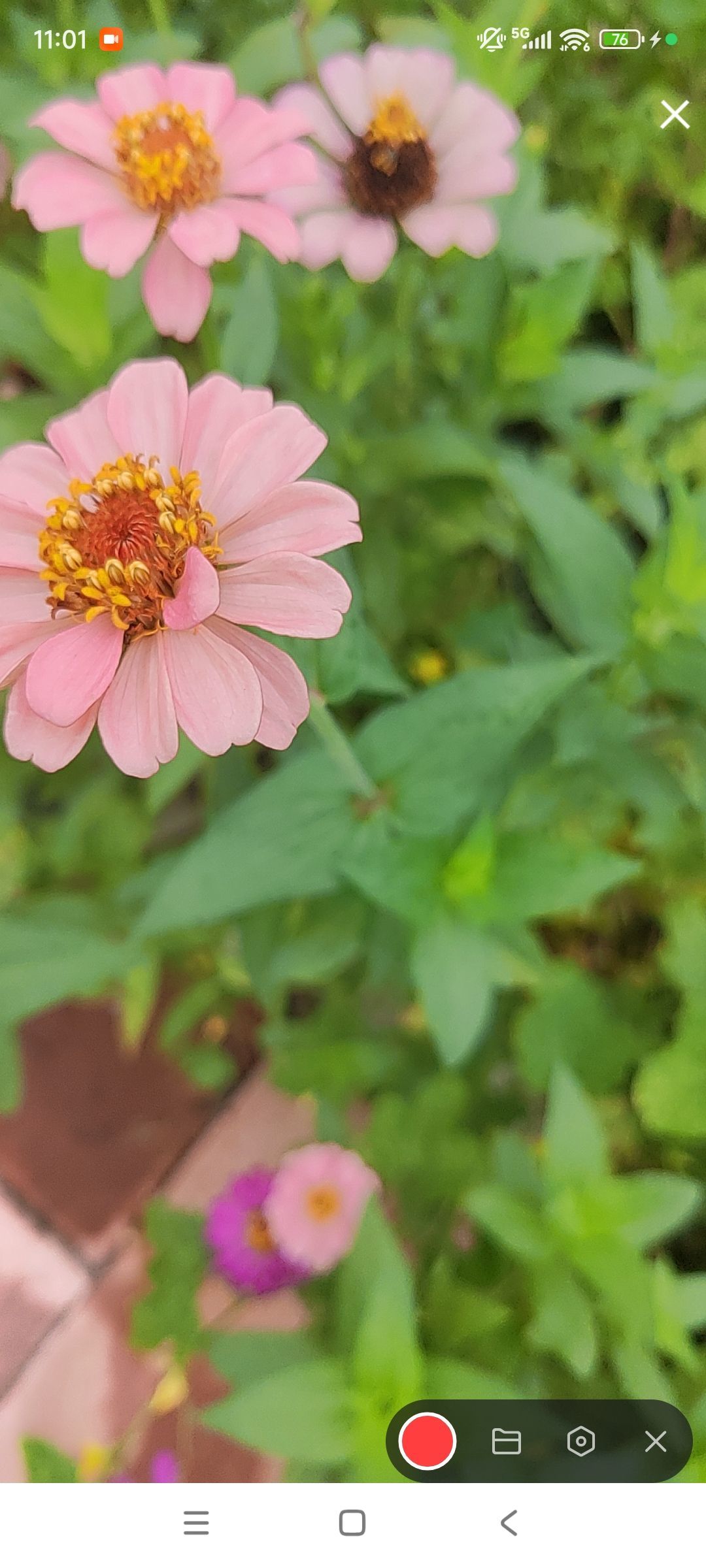 婷婷💕感恩有你陪伴的主播照片