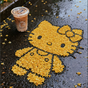 ᥫᩣ应应～
