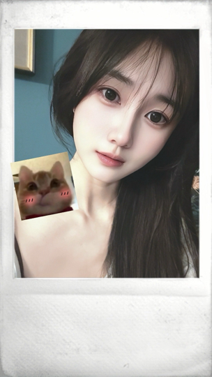 @猫幼猫幼海报