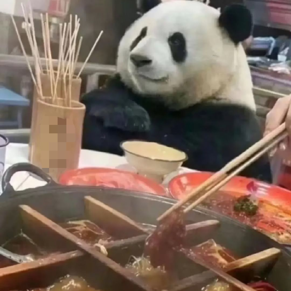 萌妹休海报