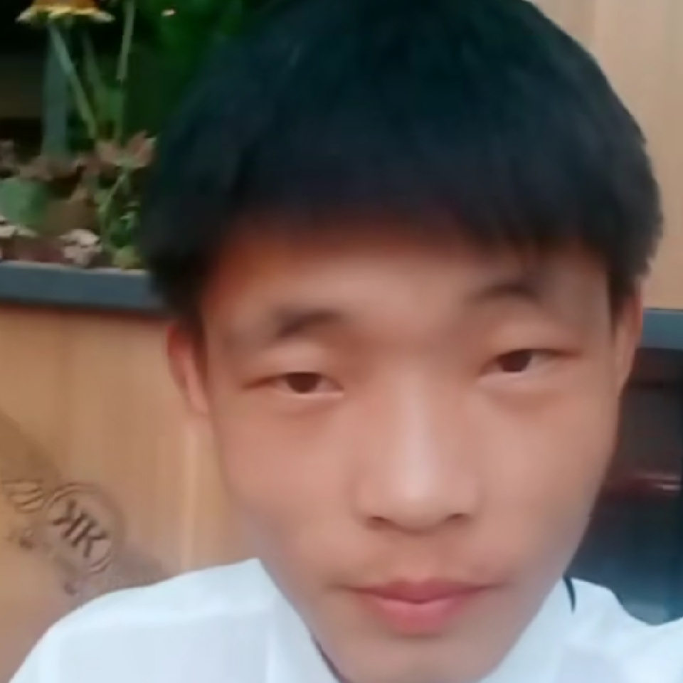 新人龙龙🐲海报