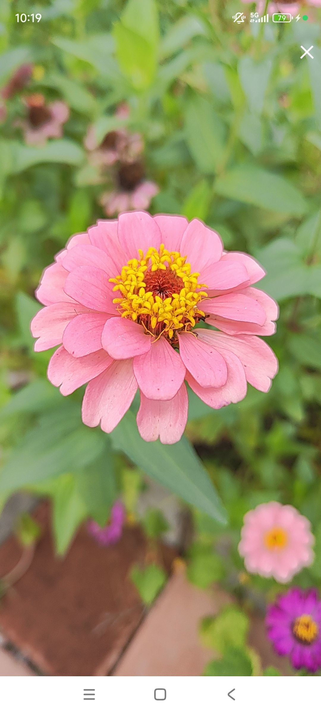 婷婷💕感恩有你陪伴的主播照片