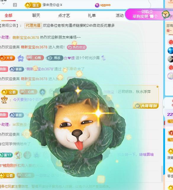 代理心雨九月白白白的主播照片