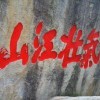 苦丁茶r7