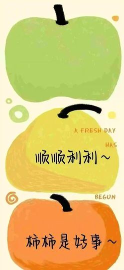 妞妞骑行三亚的图片