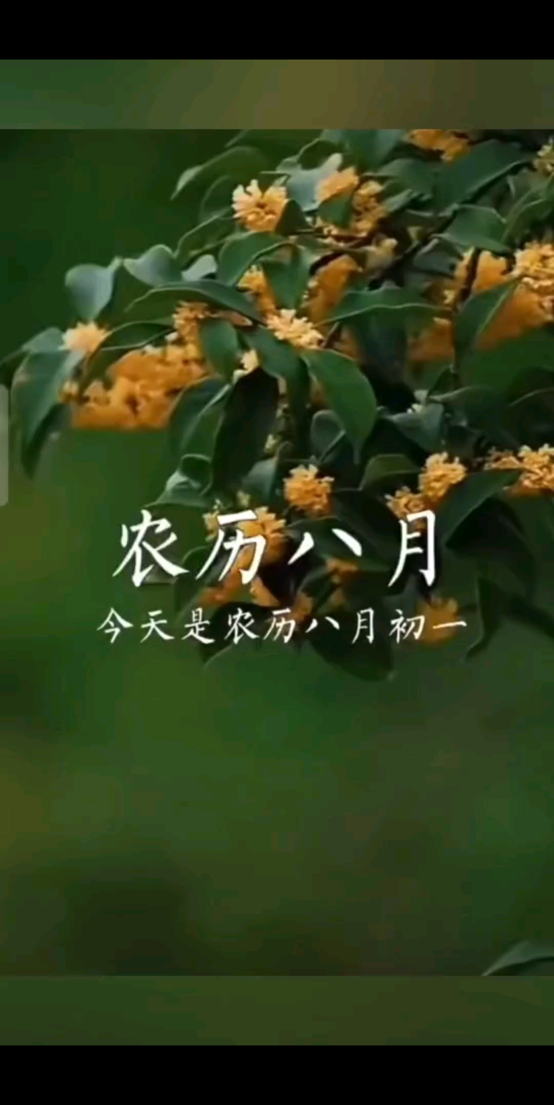 ☞