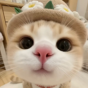 伈等一下