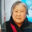 刘淑英z