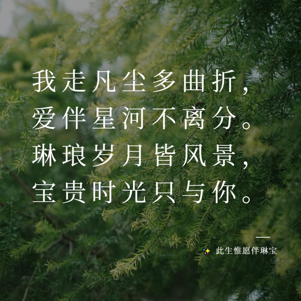 (✧莳光∇浅逝✧)海报