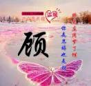 涛哥9